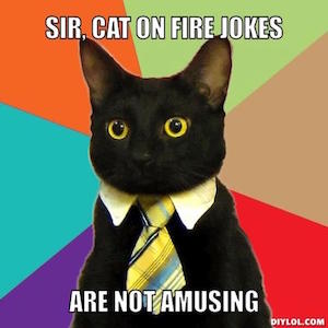 resized_business-cat-meme-generator-sir-cat-on-fire-jokes-are-not-amusing-14a561.jpg