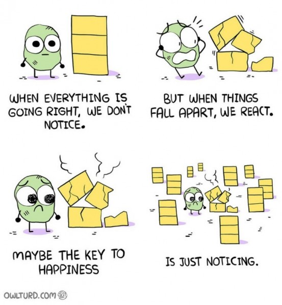 Noticing.jpg