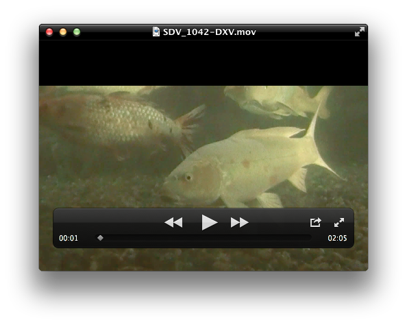 Screen Shot 2011-12-04 at 9.34.30 PM.png